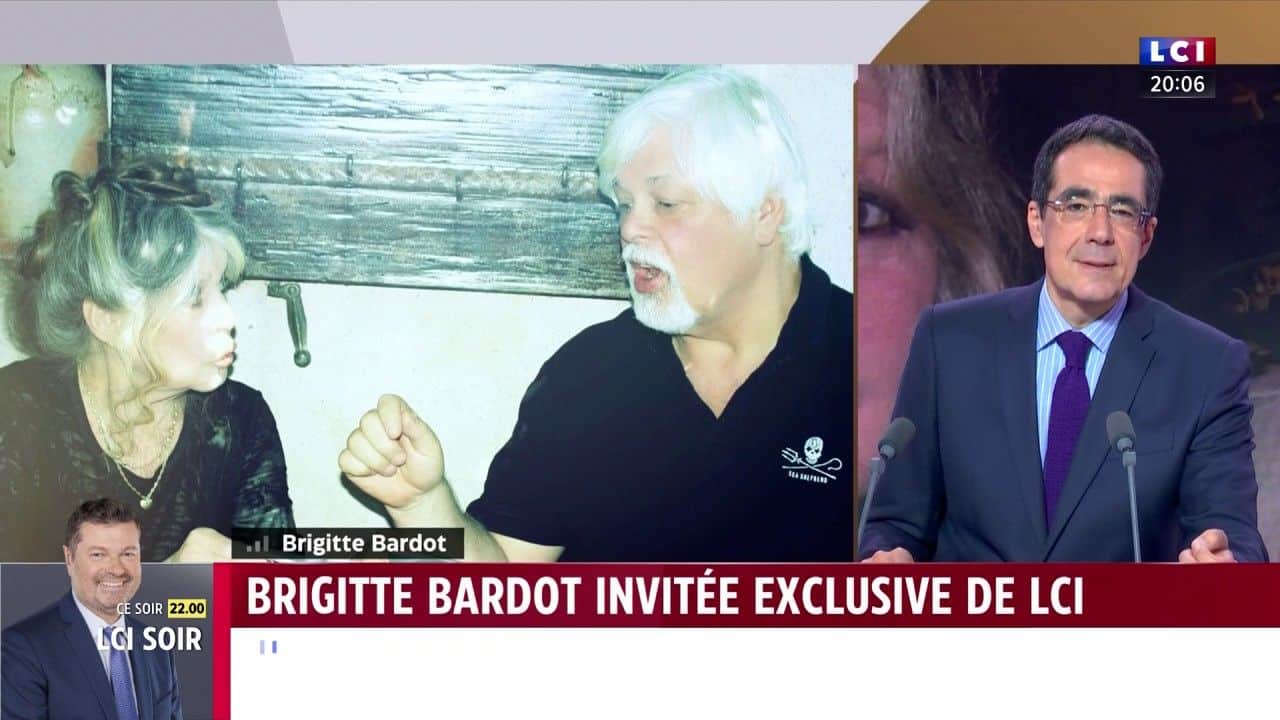 brigitte bardot, iconique figure du cinéma français, impose des conditions strictes pour son interview avec bfm tv. découvrez les exigences et les raisons derrière ses choix, ainsi que les projets qui l'animent à ce jour.