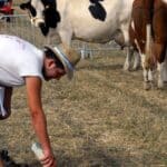 découvrez l'univers fascinant de l'exaspération des vaches, un phénomène souvent ignoré mais révélateur de leur comportement. explorez les raisons derrière cette réaction et apprenez comment améliorer le bien-être de ces animaux de ferme.