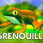 découvrez l'incroyable monde des grenouilles dans notre article 'révélation grenouille'. plongez dans leur biologie fascinante, leurs habitats uniques et leurs comportements surprenants. une exploration captivante pour les amoureux de la nature et de la biodiversité.