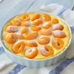 découvrez notre délicieuse recette de clafoutis abricot, idéale pour l'été ! ce dessert moelleux et fruité ravira vos papilles avec ses abricots juteux et sa texture légère. parfait pour partager lors des chaudes journées estivales, il saura séduire famille et amis à chaque bouchée.